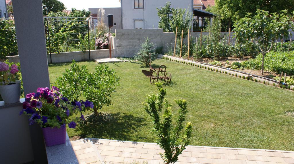Apartments Nika Zadar Pokoj fotografie